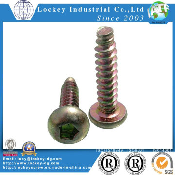 Roud Head Thread Forming Screw